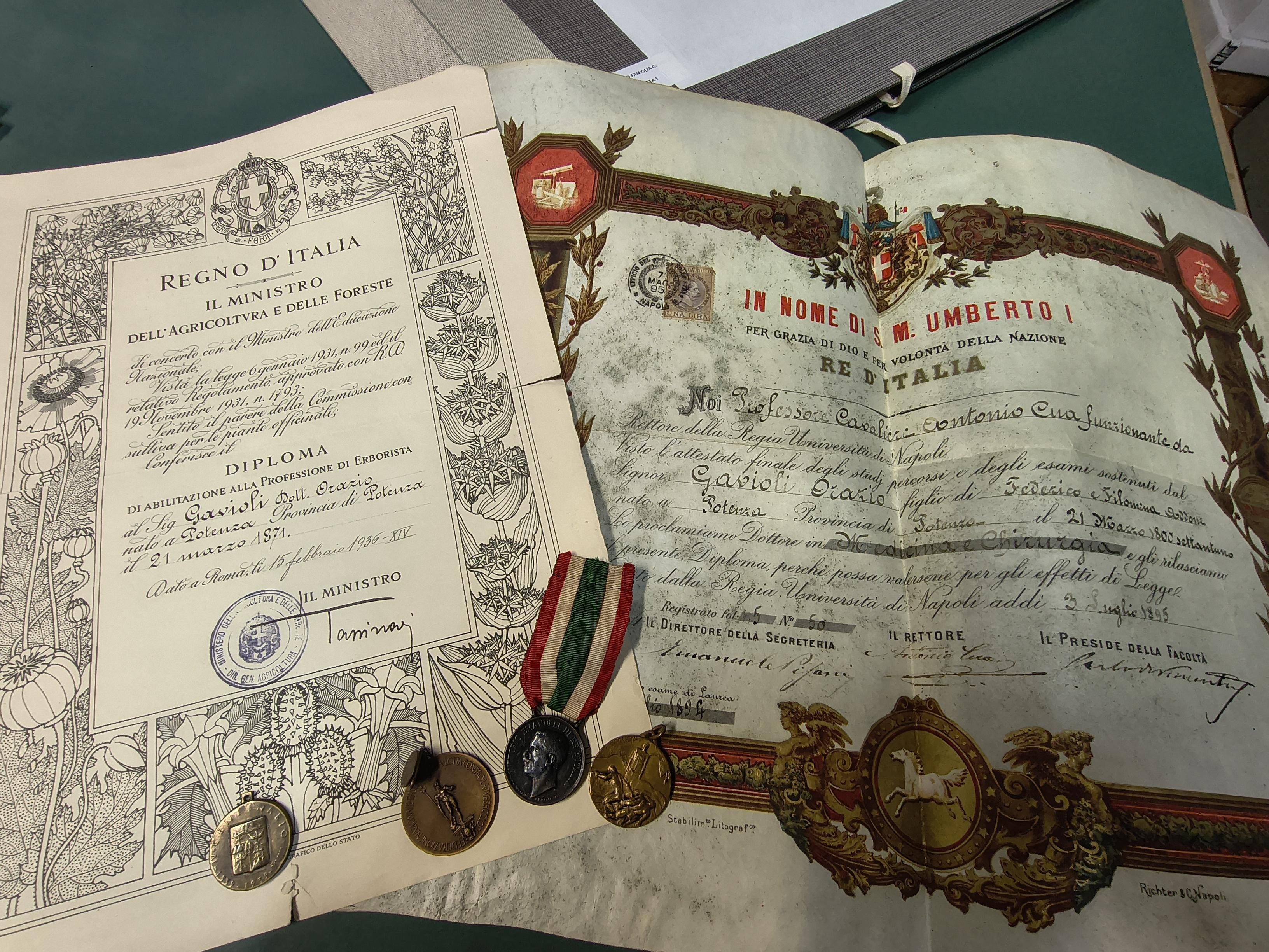Archivio Gavioli: una famiglia tra medicina e botanica nella Basilicata moderna